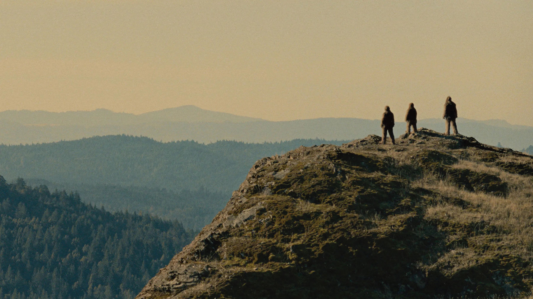 Beyond Its Grossness, ‘Sasquatch Sunset’ Has a Great Message